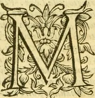 Picture 25 of 31 from Historia trivigiana (1591), leaf 527