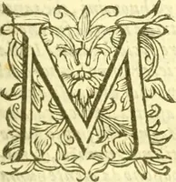 An illustration from Historia trivigiana (1591)