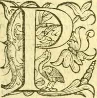An illustration from Historia trivigiana (1591)