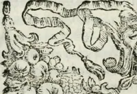 Picture 9 of 82 from Historia veneta (1680), leaf 43
