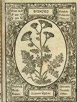 Picture 51 of 79 from Historia vnnd Beschreibung influentischer, elementischer vnd natürlicher Wirckungen, aller fremden vnnd heimischen Erdgewechssen ... (1578), leaf 100