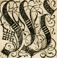 An illustration from Historia vnnd Beschreibung influentischer, elementischer vnd natürlicher Wirckungen, aller fremden vnnd heimischen Erdgewechssen ... (1578)
