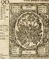 An illustration from Historia vnnd Beschreibung influentischer, elementischer vnd natürlicher Wirckungen, aller fremden vnnd heimischen Erdgewechssen ... (1578)