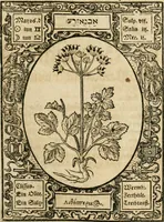 An illustration from Historia vnnd Beschreibung influentischer, elementischer vnd natürlicher Wirckungen, aller fremden vnnd heimischen Erdgewechssen ... (1578)