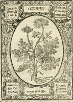 Picture 59 of 79 from Historia vnnd Beschreibung influentischer, elementischer vnd natürlicher Wirckungen, aller fremden vnnd heimischen Erdgewechssen ... (1578), leaf 117