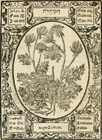 Picture 61 of 79 from Historia vnnd Beschreibung influentischer, elementischer vnd natürlicher Wirckungen, aller fremden vnnd heimischen Erdgewechssen ... (1578), leaf 127