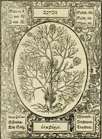 Picture 62 of 79 from Historia vnnd Beschreibung influentischer, elementischer vnd natürlicher Wirckungen, aller fremden vnnd heimischen Erdgewechssen ... (1578), leaf 132