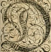 An illustration from Historia vnnd Beschreibung influentischer, elementischer vnd natürlicher Wirckungen, aller fremden vnnd heimischen Erdgewechssen ... (1578)