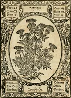 Picture 67 of 79 from Historia vnnd Beschreibung influentischer, elementischer vnd natürlicher Wirckungen, aller fremden vnnd heimischen Erdgewechssen ... (1578), leaf 146