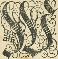 An illustration from Historia vnnd Beschreibung influentischer, elementischer vnd natürlicher Wirckungen, aller fremden vnnd heimischen Erdgewechssen ... (1578)