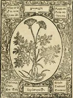 Picture 69 of 79 from Historia vnnd Beschreibung influentischer, elementischer vnd natürlicher Wirckungen, aller fremden vnnd heimischen Erdgewechssen ... (1578), leaf 150