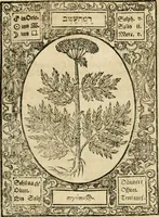An illustration from Historia vnnd Beschreibung influentischer, elementischer vnd natürlicher Wirckungen, aller fremden vnnd heimischen Erdgewechssen ... (1578)