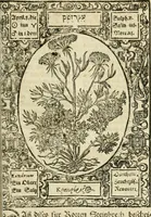 An illustration from Historia vnnd Beschreibung influentischer, elementischer vnd natürlicher Wirckungen, aller fremden vnnd heimischen Erdgewechssen ... (1578)