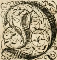 An illustration from Historia vnnd Beschreibung influentischer, elementischer vnd natürlicher Wirckungen, aller fremden vnnd heimischen Erdgewechssen ... (1578)