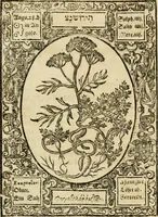 An illustration from Historia vnnd Beschreibung influentischer, elementischer vnd natürlicher Wirckungen, aller fremden vnnd heimischen Erdgewechssen ... (1578)