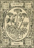 Picture 15 of 79 from Historia vnnd Beschreibung influentischer, elementischer vnd natürlicher Wirckungen, aller fremden vnnd heimischen Erdgewechssen ... (1578), leaf 23