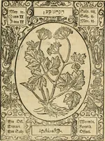 An illustration from Historia vnnd Beschreibung influentischer, elementischer vnd natürlicher Wirckungen, aller fremden vnnd heimischen Erdgewechssen ... (1578)