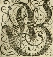 An illustration from Historia vnnd Beschreibung influentischer, elementischer vnd natürlicher Wirckungen, aller fremden vnnd heimischen Erdgewechssen ... (1578)
