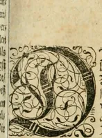 An illustration from Historia vnnd Beschreibung influentischer, elementischer vnd natürlicher Wirckungen, aller fremden vnnd heimischen Erdgewechssen ... (1578)
