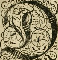 Picture 22 of 79 from Historia vnnd Beschreibung influentischer, elementischer vnd natürlicher Wirckungen, aller fremden vnnd heimischen Erdgewechssen ... (1578), leaf 40