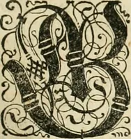 An illustration from Historia vnnd Beschreibung influentischer, elementischer vnd natürlicher Wirckungen, aller fremden vnnd heimischen Erdgewechssen ... (1578)