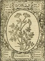 An illustration from Historia vnnd Beschreibung influentischer, elementischer vnd natürlicher Wirckungen, aller fremden vnnd heimischen Erdgewechssen ... (1578)