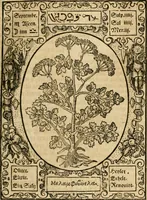 An illustration from Historia vnnd Beschreibung influentischer, elementischer vnd natürlicher Wirckungen, aller fremden vnnd heimischen Erdgewechssen ... (1578)
