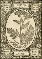 An illustration from Historia vnnd Beschreibung influentischer, elementischer vnd natürlicher Wirckungen, aller fremden vnnd heimischen Erdgewechssen ... (1578)
