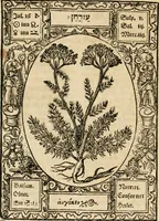 An illustration from Historia vnnd Beschreibung influentischer, elementischer vnd natürlicher Wirckungen, aller fremden vnnd heimischen Erdgewechssen ... (1578)