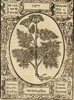 Picture 42 of 79 from Historia vnnd Beschreibung influentischer, elementischer vnd natürlicher Wirckungen, aller fremden vnnd heimischen Erdgewechssen ... (1578), leaf 81