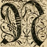 An illustration from Historia vnnd Beschreibung influentischer, elementischer vnd natürlicher Wirckungen, aller fremden vnnd heimischen Erdgewechssen ... (1578)