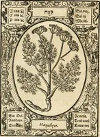 Picture 46 of 79 from Historia vnnd Beschreibung influentischer, elementischer vnd natürlicher Wirckungen, aller fremden vnnd heimischen Erdgewechssen ... (1578), leaf 89