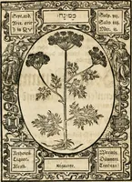 Picture 48 of 79 from Historia vnnd Beschreibung influentischer, elementischer vnd natürlicher Wirckungen, aller fremden vnnd heimischen Erdgewechssen ... (1578), leaf 93