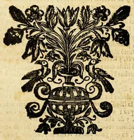 An illustration from Historia, y viage del mundo del clerigo agradecido don Pedro Ordoñez de Zevallos, natural de la insigne ciudad de Jaen, à las cinco partes de la Europa, Africa, Asia, America, y Magalanica, con el itinerario de todo èl. . (1691)
