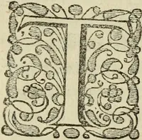 An illustration from Historica descriptio complectens vitam, ac res gestas beatissimi viri Gulielmi Wicami .. (1690)