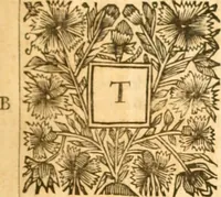 Picture 17 of 19 from Historical collections of private passages of state : weighty matters in law. Remarkable proceedings in five Parliaments. Beginning the sixteenth year of King James, anno 1618. And ending the fifth year of King Charls, anno 1629 (1682), leaf 36