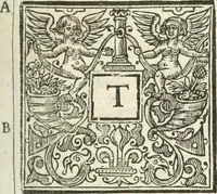 An illustration from Historical collections of private passages of state, weighty matters in law, remarkable proceedings in five parliaments : beginning the sixteenth year of King James. anno 1618, and ending the fifth year of King Charls [sic], anno 1629 (1659)