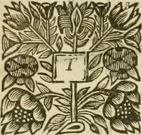 An illustration from Historical collections of private passages of state, weighty matters in law, remarkable proceedings in five parliaments : beginning the sixteenth year of King James. anno 1618, and ending the fifth year of King Charls [sic], anno 1629 (1659)
