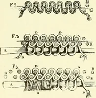 An illustration from An historical guide to French interiors, furniture, decoration, woodwork & allied arts during the last half of the seventeenth century, the whole of the eighteenth century, and the earlier part of the nineteenth (1903)