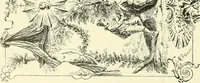 Picture 302 of 662 from An historical guide to French interiors, furniture, decoration, woodwork & allied arts during the last half of the seventeenth century, the whole of the eighteenth century, and the earlier part of the nineteenth (1903), leaf 209
