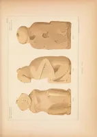 An illustration from Historical and statistical information respecting the history, condition, and prospects of the Indian tribes of the United States : collected and prepared under the direction of the Bureau of Indian Affairs per act of Congress of March 3rd, 1847 (1851)