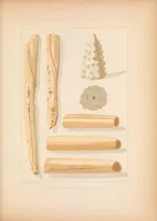 An illustration from Historical and statistical information respecting the history, condition, and prospects of the Indian tribes of the United States : collected and prepared under the direction of the Bureau of Indian Affairs per act of Congress of March 3rd, 1847 (1851)