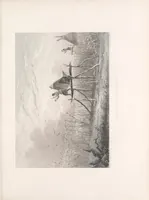 An illustration from Historical and statistical information respecting the history, condition, and prospects of the Indian tribes of the United States : collected and prepared under the direction of the Bureau of Indian Affairs per act of Congress of March 3rd, 1847 (1851)