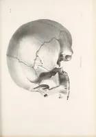 An illustration from Historical and statistical information respecting the history, condition, and prospects of the Indian tribes of the United States : collected and prepared under the direction of the Bureau of Indian Affairs per act of Congress of March 3rd, 1847 (1851)