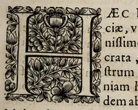 An illustration from Historiæ canadensis, seu, Novæ-Franciæ libri decem, ad annum vsque Christi MDCLVI (1664)