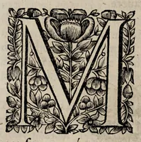 An illustration from Historiæ canadensis, seu, Novæ-Franciæ libri decem, ad annum vsque Christi MDCLVI (1664)