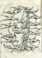 Picture 5 of 24 from Historica relatione del regno di Cile : e delle missioni e ministerij che esercita in quelle la Compagnia di Giesu (1646), leaf 109