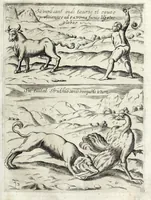 Picture 8 of 24 from Historica relatione del regno di Cile : e delle missioni e ministerij che esercita in quelle la Compagnia di Giesu (1646), leaf 129