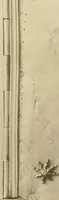 Picture 19 of 57 from Historic bindings in the Bodleian Library, Oxford : with reproductions of twenty-four of the finest bindings (1891), leaf 66