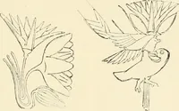 An illustration from Historic ornament : treatise on decorative art and architectural ornament (1909)